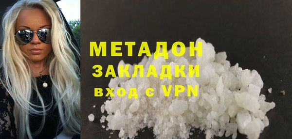 индика Алексин