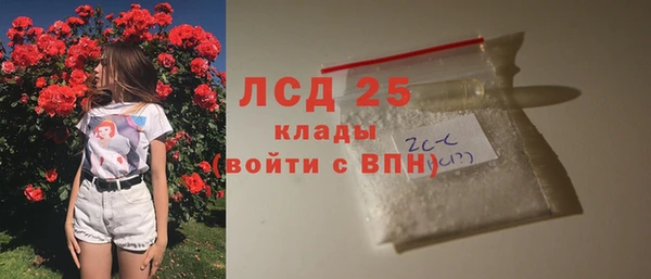 индика Алексин