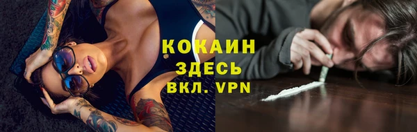 индика Алексин