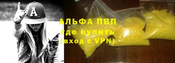 индика Алексин