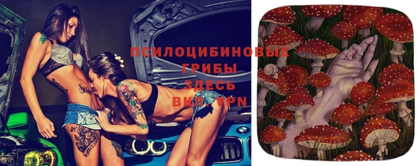 индика Алексин