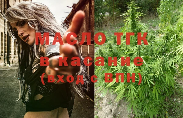 индика Алексин