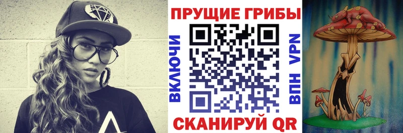 продажа наркотиков  Ардон  Псилоцибиновые грибы ЛСД 